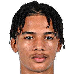 阿米尔·理查德森