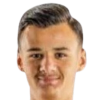 克里姆·阿拉杰贝戈维奇