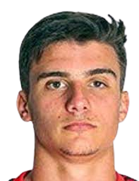 拉斐尔·维拉·罗德里格斯