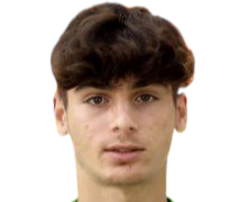 罗德里戈·门多萨