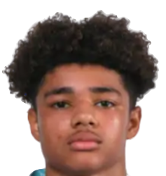 迈克尔·戈尔丁