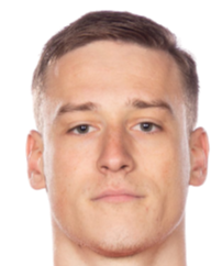 米雷塔·拉约维奇