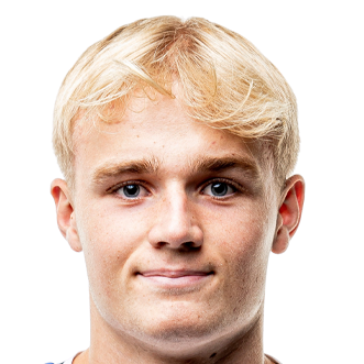 维克托·弗洛霍尔特