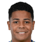 韦斯利·加索瓦·里贝罗·特谢拉